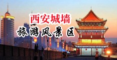 欧洲操逼咱线中国陕西-西安城墙旅游风景区