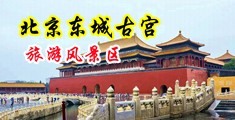 大屌闪光暴露狂中国北京-东城古宫旅游风景区